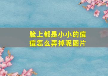 脸上都是小小的痘痘怎么弄掉呢图片