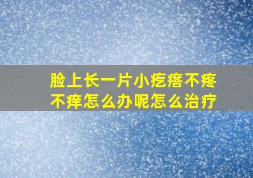 脸上长一片小疙瘩不疼不痒怎么办呢怎么治疗