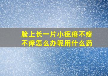 脸上长一片小疙瘩不疼不痒怎么办呢用什么药