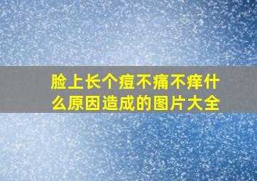 脸上长个痘不痛不痒什么原因造成的图片大全