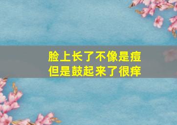 脸上长了不像是痘但是鼓起来了很痒