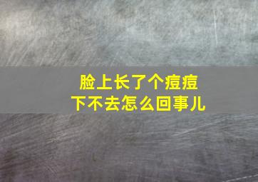 脸上长了个痘痘下不去怎么回事儿