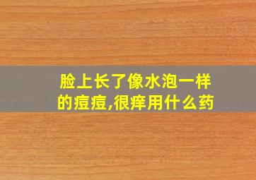 脸上长了像水泡一样的痘痘,很痒用什么药