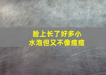 脸上长了好多小水泡但又不像痘痘