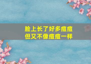 脸上长了好多痘痘但又不像痘痘一样