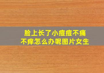 脸上长了小痘痘不痛不痒怎么办呢图片女生