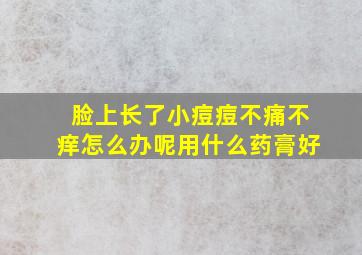 脸上长了小痘痘不痛不痒怎么办呢用什么药膏好