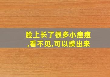 脸上长了很多小痘痘,看不见,可以摸出来