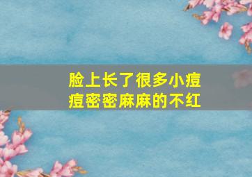 脸上长了很多小痘痘密密麻麻的不红