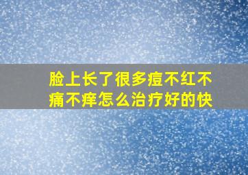 脸上长了很多痘不红不痛不痒怎么治疗好的快