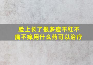 脸上长了很多痘不红不痛不痒用什么药可以治疗