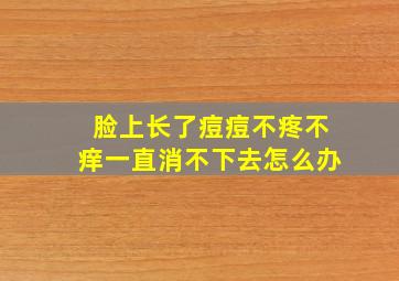 脸上长了痘痘不疼不痒一直消不下去怎么办