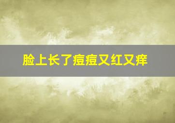 脸上长了痘痘又红又痒