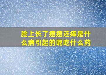 脸上长了痘痘还痒是什么病引起的呢吃什么药