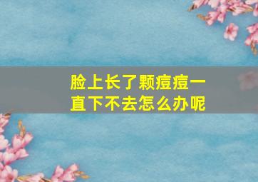 脸上长了颗痘痘一直下不去怎么办呢