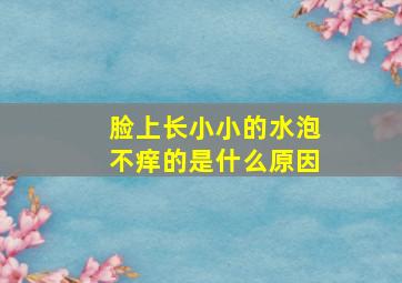 脸上长小小的水泡不痒的是什么原因