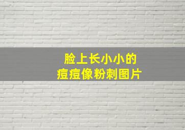 脸上长小小的痘痘像粉刺图片