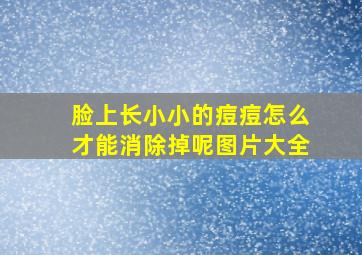 脸上长小小的痘痘怎么才能消除掉呢图片大全