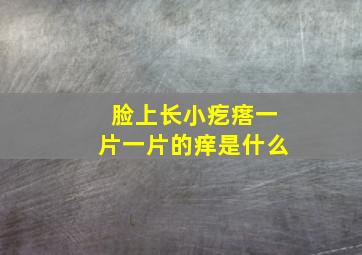 脸上长小疙瘩一片一片的痒是什么