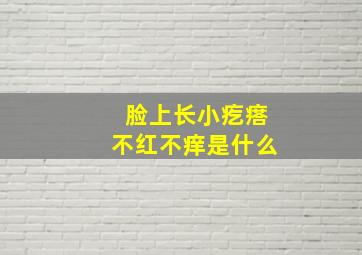 脸上长小疙瘩不红不痒是什么