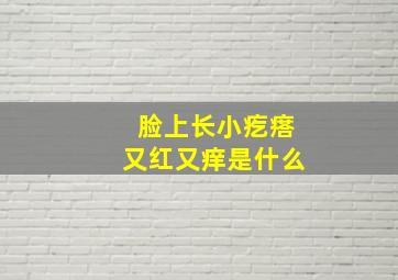 脸上长小疙瘩又红又痒是什么