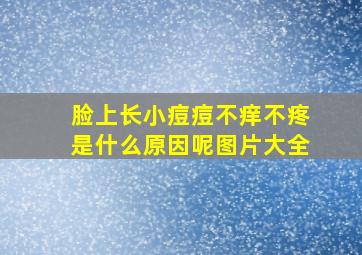 脸上长小痘痘不痒不疼是什么原因呢图片大全