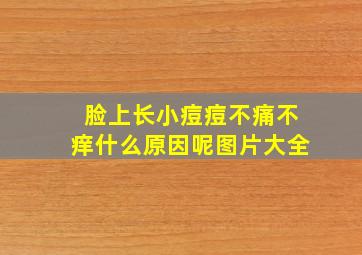 脸上长小痘痘不痛不痒什么原因呢图片大全