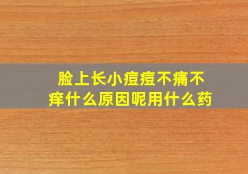 脸上长小痘痘不痛不痒什么原因呢用什么药