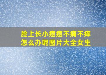 脸上长小痘痘不痛不痒怎么办呢图片大全女生