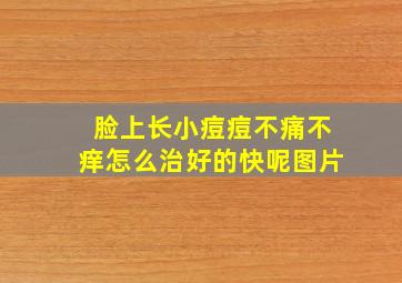 脸上长小痘痘不痛不痒怎么治好的快呢图片