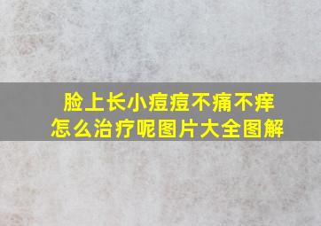 脸上长小痘痘不痛不痒怎么治疗呢图片大全图解