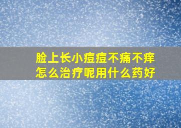 脸上长小痘痘不痛不痒怎么治疗呢用什么药好