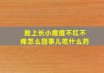 脸上长小痘痘不红不痒怎么回事儿吃什么药