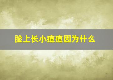 脸上长小痘痘因为什么