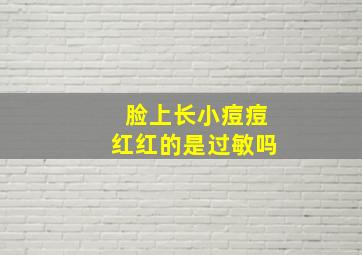 脸上长小痘痘红红的是过敏吗