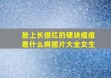 脸上长很红的硬块痘痘是什么病图片大全女生