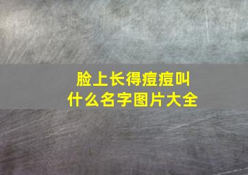 脸上长得痘痘叫什么名字图片大全