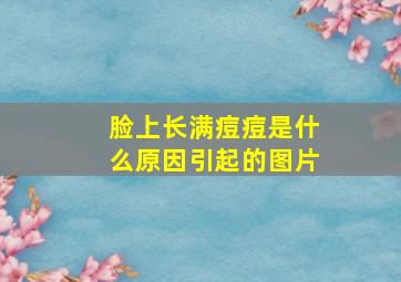 脸上长满痘痘是什么原因引起的图片