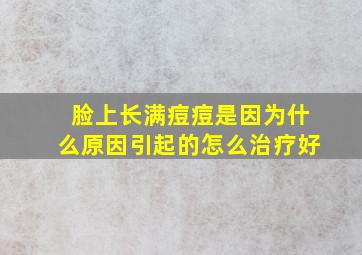 脸上长满痘痘是因为什么原因引起的怎么治疗好