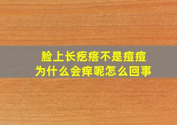 脸上长疙瘩不是痘痘为什么会痒呢怎么回事