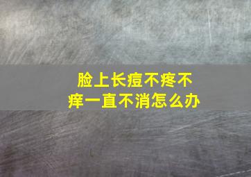 脸上长痘不疼不痒一直不消怎么办