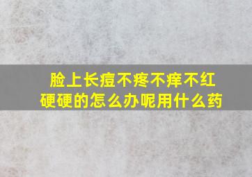 脸上长痘不疼不痒不红硬硬的怎么办呢用什么药