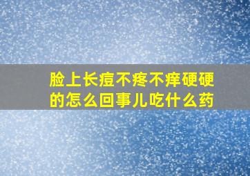 脸上长痘不疼不痒硬硬的怎么回事儿吃什么药