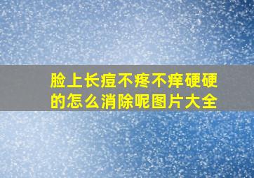 脸上长痘不疼不痒硬硬的怎么消除呢图片大全