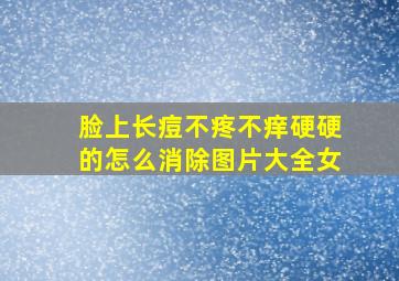 脸上长痘不疼不痒硬硬的怎么消除图片大全女