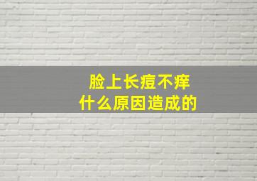 脸上长痘不痒什么原因造成的