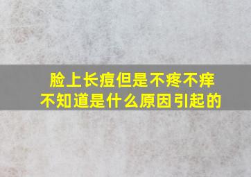 脸上长痘但是不疼不痒不知道是什么原因引起的