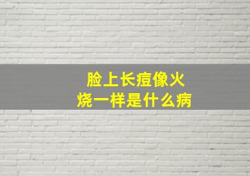 脸上长痘像火烧一样是什么病