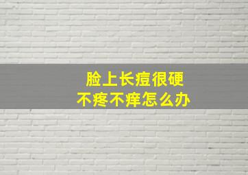 脸上长痘很硬不疼不痒怎么办