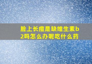 脸上长痘是缺维生素b2吗怎么办呢吃什么药